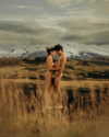 rafael.avcioglu Altpins Profile Picture