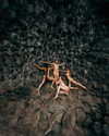 rafael.avcioglu Altpins Profile Picture