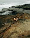 rafael.avcioglu Altpins Profile Picture