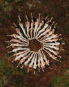 rafael.avcioglu Altpins Profile Picture