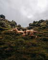 rafael.avcioglu Altpins Profile Picture
