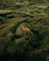 rafael.avcioglu Altpins Profile Picture