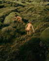 rafael.avcioglu Altpins Profile Picture