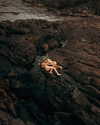 rafael.avcioglu Altpins Profile Picture
