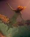 rafael.avcioglu Altpins Profile Picture