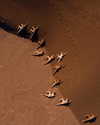 rafael.avcioglu Altpins Profile Picture