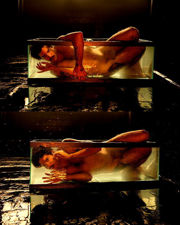 rafael.avcioglu instagram image archive image