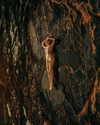 rafael.avcioglu Altpins Profile Picture