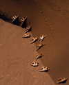 rafael.avcioglu Altpins Profile Picture