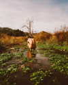 rafael.avcioglu Altpins Profile Picture