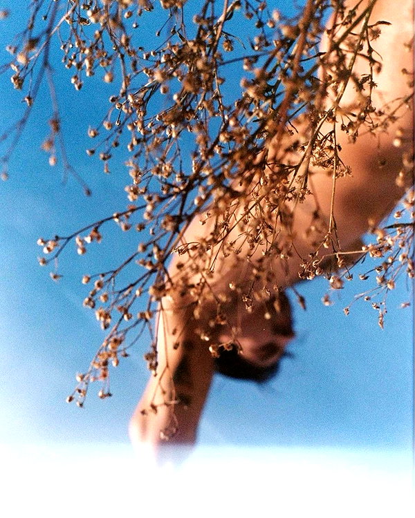 rafael.avcioglu instagram image archive image