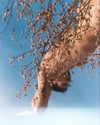 rafael.avcioglu Altpins Profile Picture