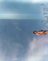 rafael.avcioglu Altpins Profile Picture