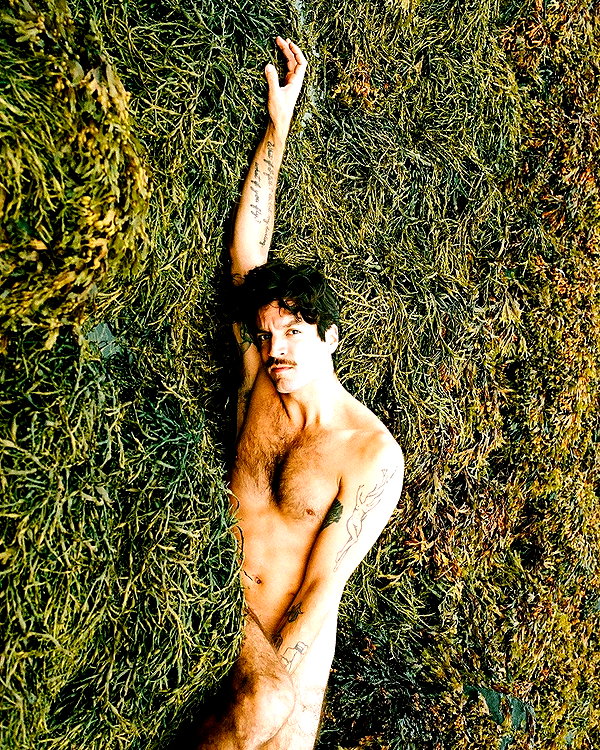 rafael.avcioglu instagram image archive image