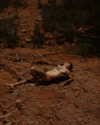 rafael.avcioglu Altpins Profile Picture
