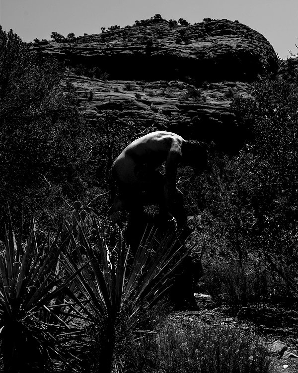rafael.avcioglu instagram image archive image