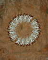 rafael.avcioglu Altpins Profile Picture