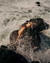 rafael.avcioglu Altpins Profile Picture