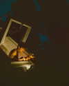 rafael.avcioglu Altpins Profile Picture