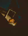 rafael.avcioglu Altpins Profile Picture