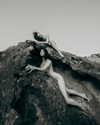 rafael.avcioglu Altpins Profile Picture
