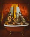 rafael.avcioglu Altpins Profile Picture