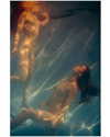 rafael.avcioglu Altpins Profile Picture