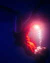 rafael.avcioglu Altpins Profile Picture