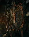 rafael.avcioglu Altpins Profile Picture
