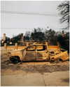 rafael.avcioglu Altpins Profile Picture