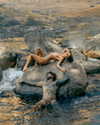 rafael.avcioglu Altpins Profile Picture