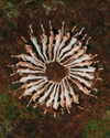 rafael.avcioglu Altpins Profile Picture