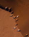 rafael.avcioglu Altpins Profile Picture