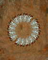 rafael.avcioglu Altpins Profile Picture