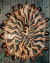 rafael.avcioglu Altpins Profile Picture