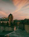 rafael.avcioglu Altpins Profile Picture