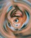 rafael.avcioglu Altpins Profile Picture