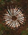 rafael.avcioglu Altpins Profile Picture