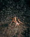 rafael.avcioglu Altpins Profile Picture