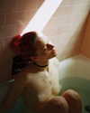 rafael.avcioglu Altpins Profile Picture