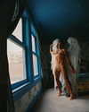 rafael.avcioglu Altpins Profile Picture