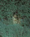 rafael.avcioglu Altpins Profile Picture