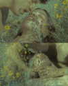 rafael.avcioglu Altpins Profile Picture