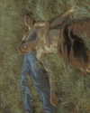 rafael.avcioglu Altpins Profile Picture