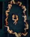 rafael.avcioglu Altpins Profile Picture