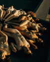 rafael.avcioglu Altpins Profile Picture