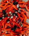 rafael.avcioglu Altpins Profile Picture