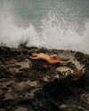 rafael.avcioglu Altpins Profile Picture