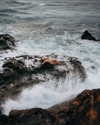 rafael.avcioglu Altpins Profile Picture