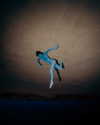 rafael.avcioglu Altpins Profile Picture